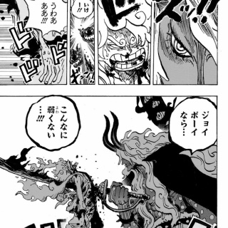 秘匿され続けた幻の五葉 : 雨竹 盆栽 水石 便り