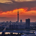 東京スカイツリー定点観測所