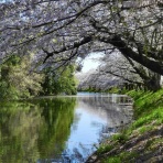 何度でも訪れたい日本の風景