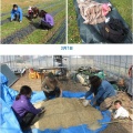 さんさん農園　2026年3月