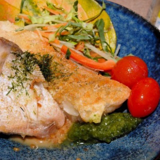 土佐料理　旬の鰹がゆく！