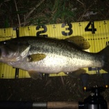 『3月30日 琵琶湖 アニムスジュニア/ベベルで春の50アップ!(アニムスJr BeveL ルアー』の画像