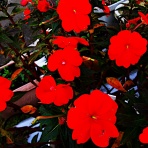 つれづれげえ日記