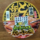 日清のどん兵衛 特盛和スパイスカレーきつねうどん