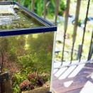 マリンアクアリウム ベランダ派