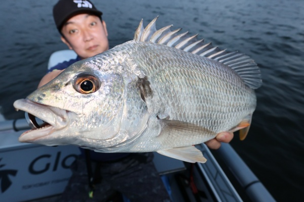 TOKYOBAY FISHING GUIDE SERVICE Glory(グローリーフィッシング)