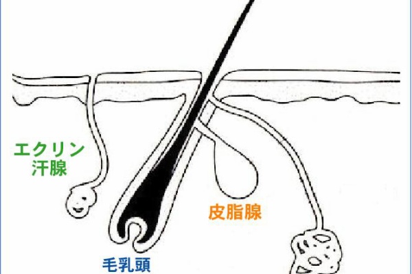ニキビを治して笑顔になろう ニキビ