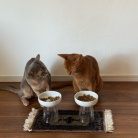 横取りひめちゃん