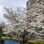 KARKARの「とりあえず走っとく？」