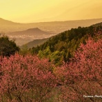 てつまんの写真日記