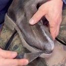 極寒の地でも耐えられる毛皮のブーツを一から作り上げる工程