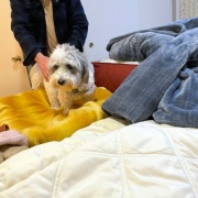 �����ʤ��褦�ˡ�ʹ�����ʤ��褦�ˤ���ˤϡ�����