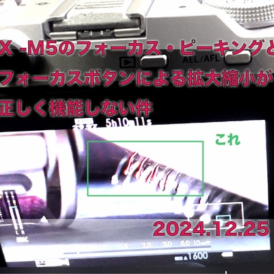 79d39a80.jpg