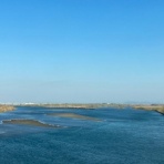 だいじろう日和。