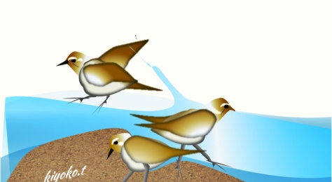 鳥のイラスト 野鳥綴り へなちょこカメラ主婦は今日もゆく