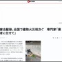 【悲報】害虫駆除にガスバーナーを使い建物が燃えるケース、全国で相次いでしまう・・・