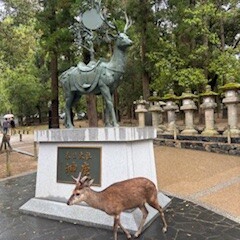 春日大社①