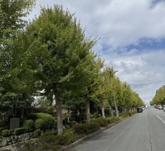 秋深し