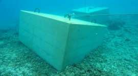 朝日新聞「辺野古の海中に沈められたコンクリがサンゴ礁を傷つけていた」