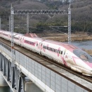 午年になって早々に撮影してきた。後編