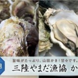『三陸やまだ漁協さんのかきとほたて（ふるさと特産品）』の画像
