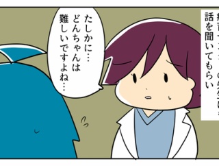 どんちゃんの就学先が決まるまで⑬