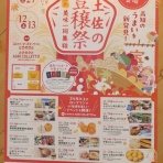 高知のんのんお散歩