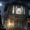 【画像】建築業者「お宅の出窓からいつも覗いてる白い大きなモノは何ですか？」