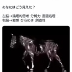 【悲報】この動画、凡人には馬が前に歩いてるように見えるらしいｗｗｗｗ