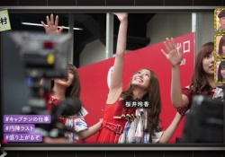泣ける・・・乃木坂46神宮ライブ画像でエモエモなのはコレｗｗｗｗｗ