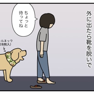 エフ漫画が本になりました リンマンブルース ゴールデンレトリバーの生態とマンガ Powered By ライブドアブログ