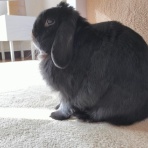 ぶ〜に〜の暮らし