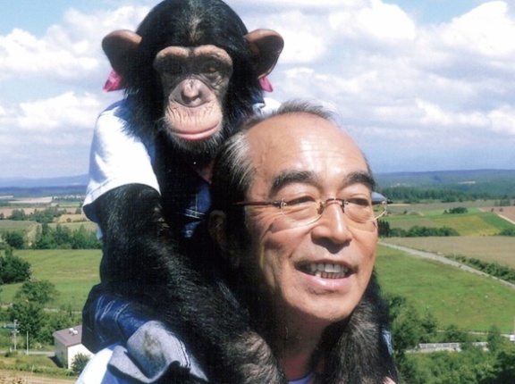 【動画あり】天才チンパンジー・パンくん、ネットでは「野生化した」「凶暴化した」と言われているけど現在はこんな感じです