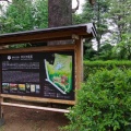 5月末の六義園と旧古河庭園Ⅱ