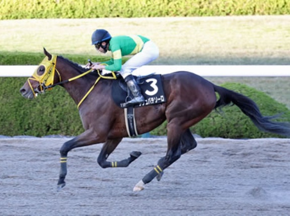 【東京大賞典】ウシュバテソーロ完全終了のお知らせ