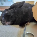 頼もしい限りです。
