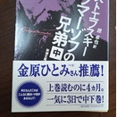 一本のネギーードストエフスキー「カラマーゾフの兄弟・中」