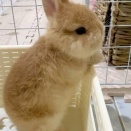つい手が伸びる