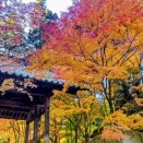 19年前 「転校生 さよなら あなた」が撮影された昌禅寺