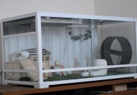 ケージレイアウト変更 ハリネズミちくちく日記