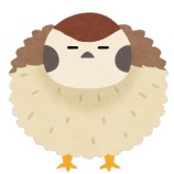 『波乱!?宙組『BAYSIDE STAR』階段降り！【宙組】【宝塚】』の画像