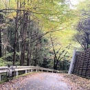 七重・定峰・白石の後はチューブラータイヤ貼り