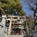 Dumb All Over “バカヤロばかり”