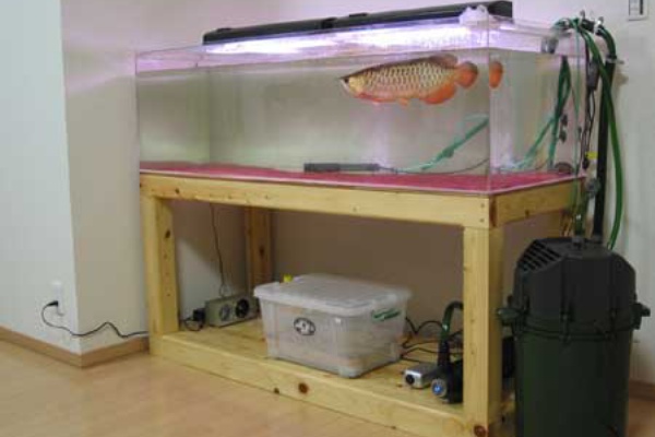 総ひのき水槽台の店 アクアテクニカのblog 07年10月
