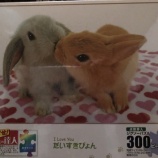 『だいすきぴょん！』の画像