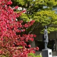 秋田市内の紅葉・長町一丁目駅から河原町駅へ
