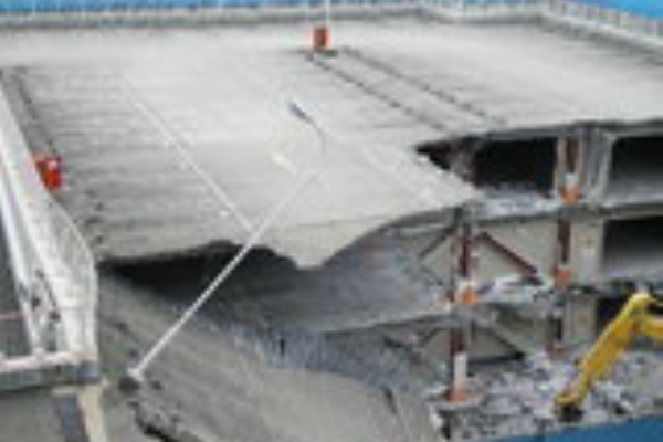 キャバリア りのちゃんワールド