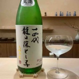 『14代龍の落とし子』の画像