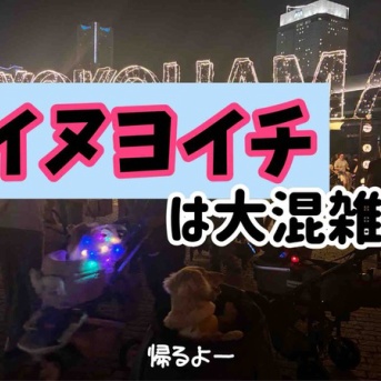 イヌヨイチ2025