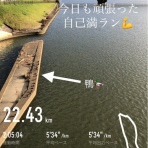 すっとこどすこい株投資